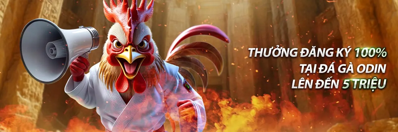 Banner khuyến mãi thể thao ae 388